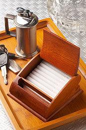 《宝可梦：朱紫》新泰拉挑战公布 最强大竺葵参战